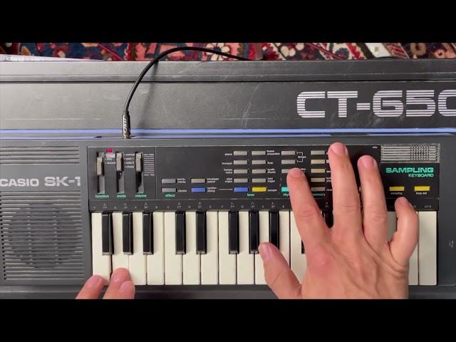 Is The Casio SK-1 a perfect entry into sampling or 80s Nostalgia in a portable keyboard