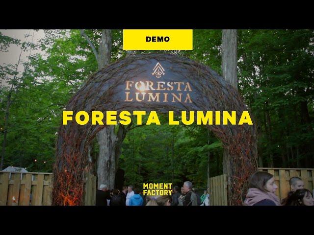 Foresta Lumina | An Enchanted Night Walk From Park to Illuminated Forest