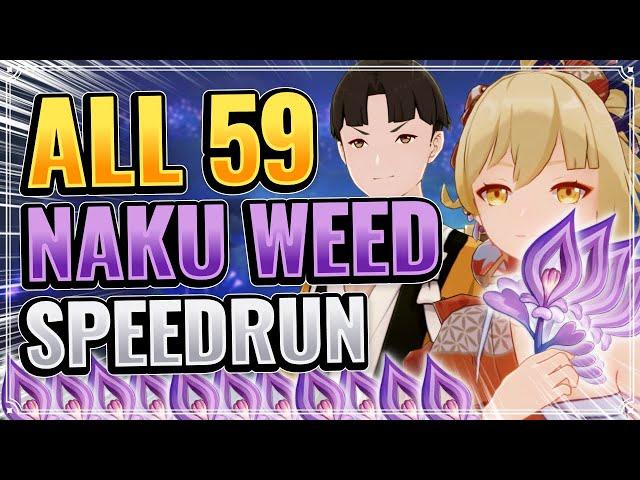 ALL 59 NAKU WEED LOCATIONS! (DETAILED + EFFICIENT ROUTE!) Genshin Impact Farming Route Inazuma