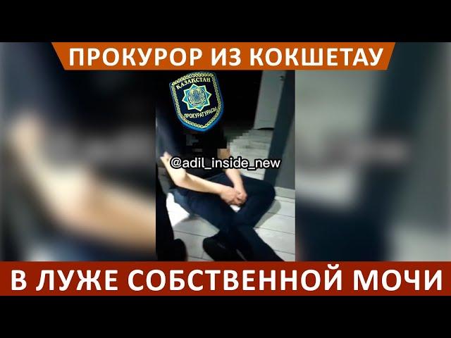 Прокурор из Кокшетау в луже собственной мочи