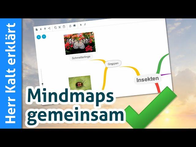 TeamMapper Anleitung – Mindmaps gemeinsam erstellen