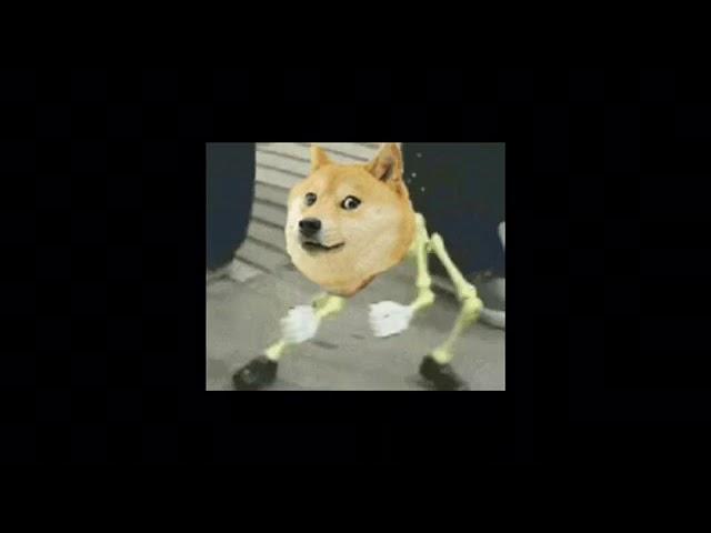 Spooky doge with fabulous dancing skillz