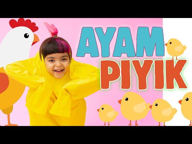 AYAM PIYIK - MAZAYA (Official Music Video)