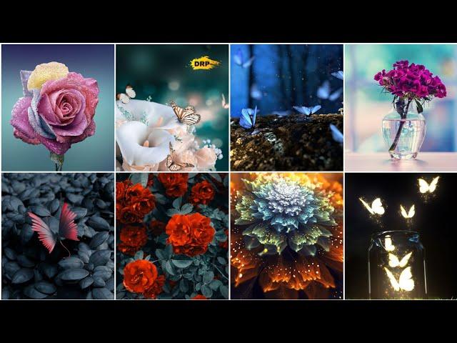 Beautiful Wallpapers For Whatsapp Profile | Stylish Whatsapp DP Images For Girls - DRP Collection