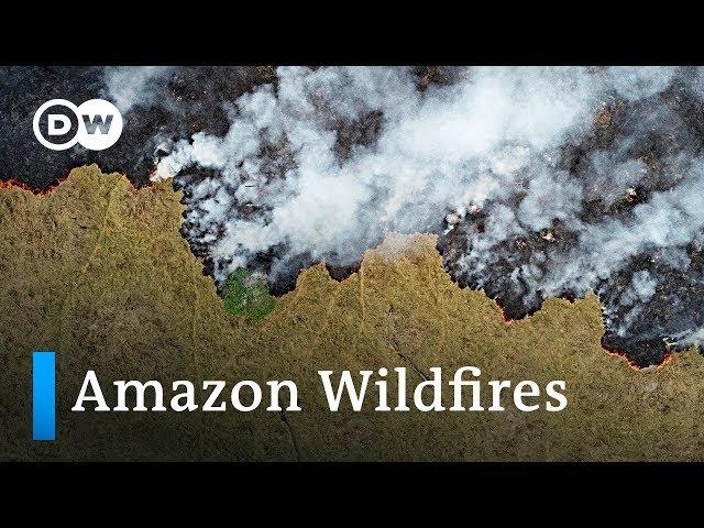 Amazon wildfires: Bolsonaro rejects aid by G7 leaders | DW News