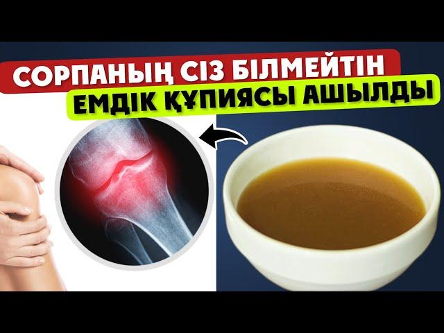 Сорпаның күтпеген емдік қасиеті ашылды, Буын ауруларының нағыз таптырмас емі… 99% адамдар білмейді…