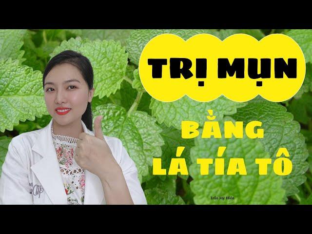 Trị mụn bằng lá tía tô hiệu quả | Trần Mỹ Hiền