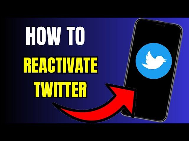 Step-by-Step Guide: How to Reactivate Your Twitter Account"