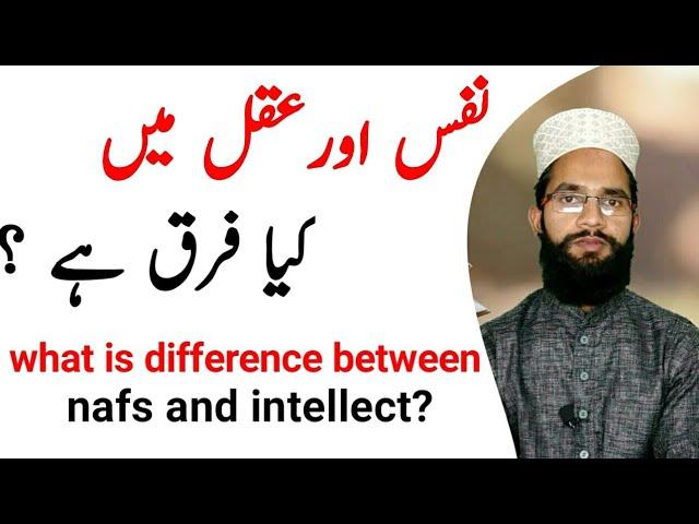 What is difference between nafs and intellect /नफस और अकल मैं किया फरक है by Qamaruzzma Noorani