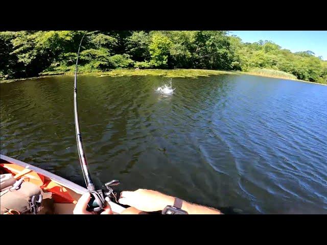 Bassin' a New Lake: Any Good Fish?