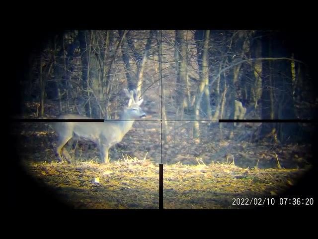 Pard nv007+MEOPTA OPTIKA 6 3-18x56 - Roebuck 100m