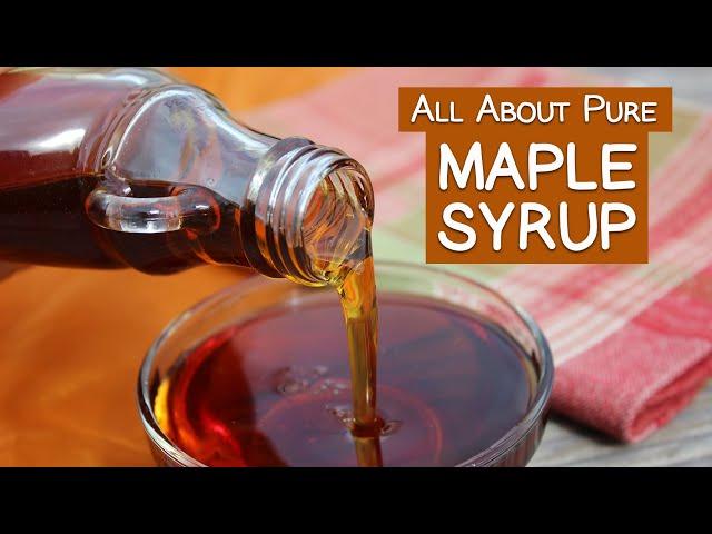 All About Pure Maple Syrup, An Alternative Natural Sweetener