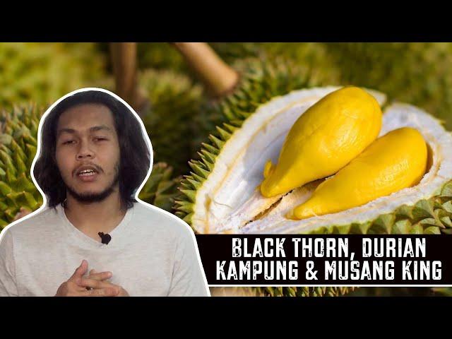 Black Thorn, Durian Kampung & Musang King