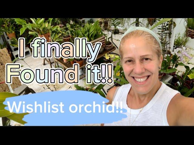 Wishlist orchid finally found!!