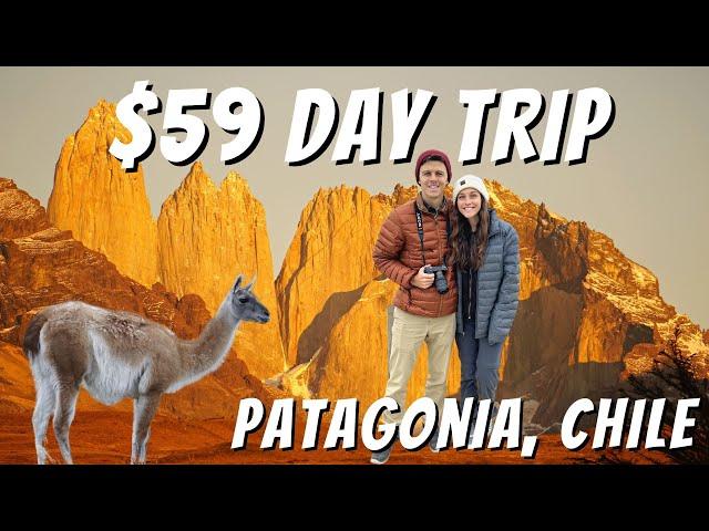 $59 PATAGONIA DAY TRIP | Torres del Paine National Park, Puerto Natales, Chile