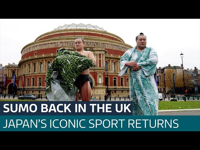 Fancy watching sumo wrestling in the historic Royal Albert Hall? Yes, really | ITV News