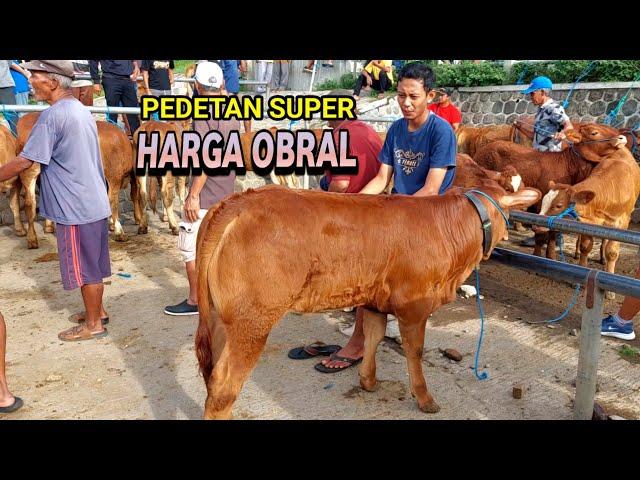 6.500 PEDETAN SUPER HARGA MURAH Pasar Sapi Purwantoro Wonogiri