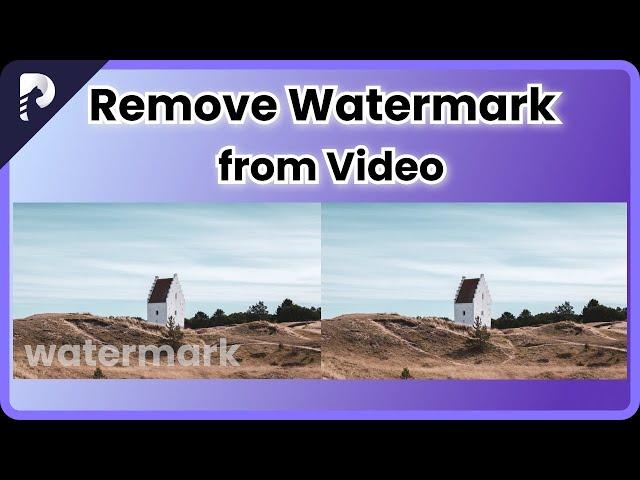 How to Remove Any Watermark from Video｜HitPaw Watermark Remover