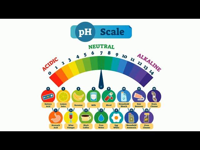 pH Scale in Simple Terms