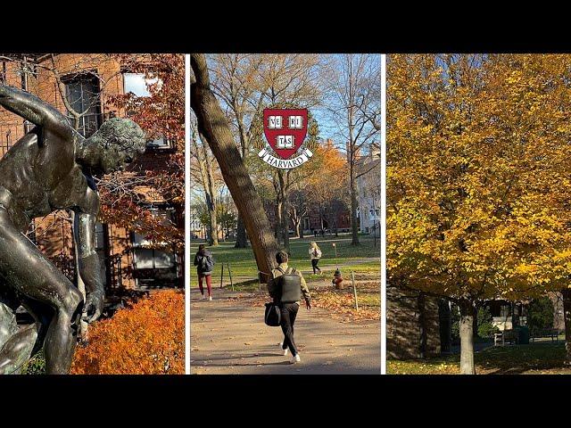 A Day as a Harvard Physics Student | Bank robbers and taco shops