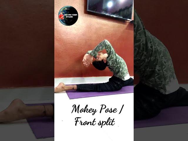 Front split |  Side split |  Streching        | backbening #Jeevanyogastudio(shivamyogi)#shorts