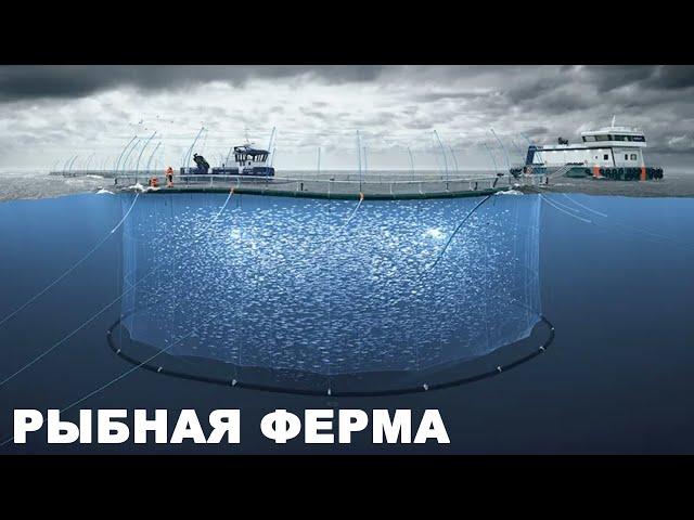 Аквакультура, морское сельское хозяйство. Типичная рыбная ферма.