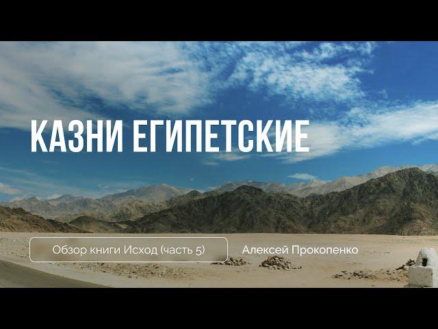 Казни египетские | Исход 7 - 10 главы | Алексей Прокопенко