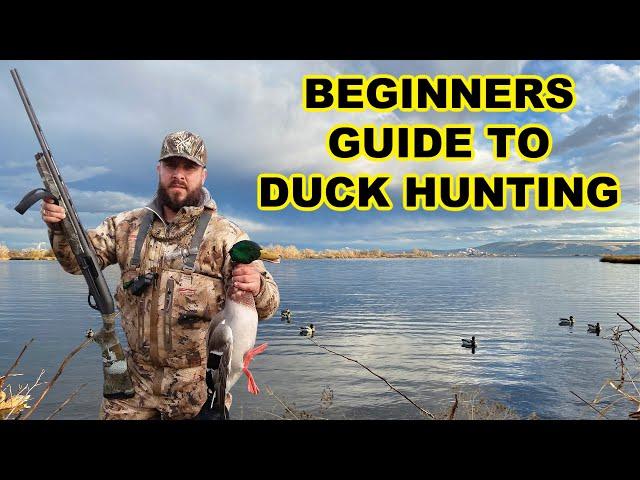 Beginners Guide To Duck Hunting