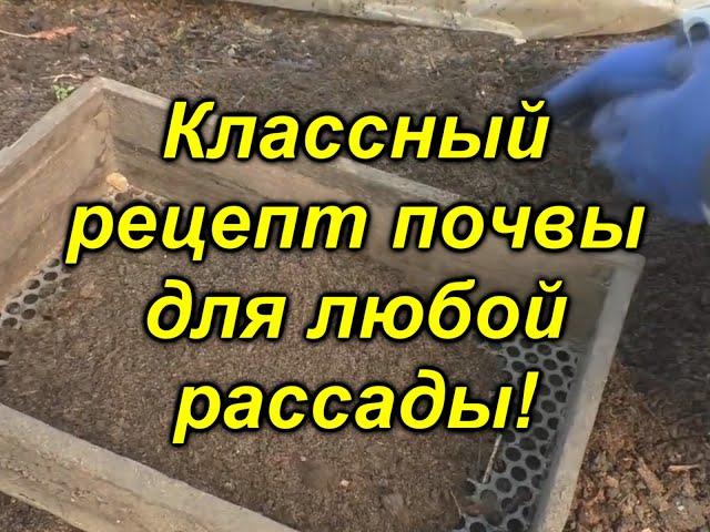 Почва своими руками, в которой вырастет любая рассада!