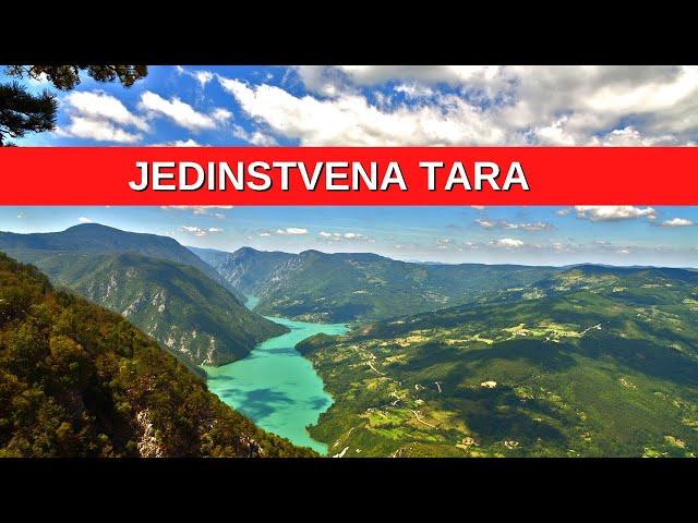 Najlepši VIDIKOVCI i PRIRODA iz ovog dela Srbije - Nacionalni park TARA | PUTOVANJE BEZ GRANICA Ep17
