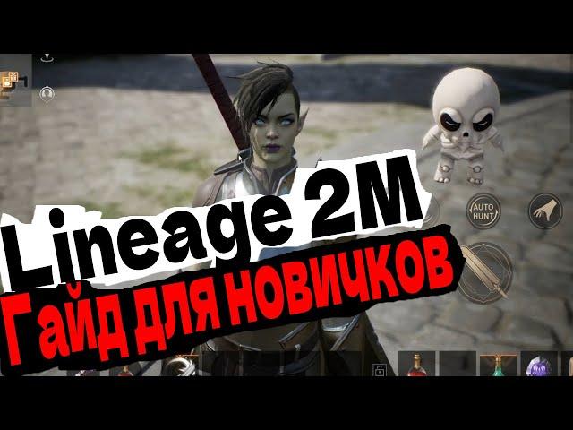 Lineage 2M ГАЙД ДЛЯ НОВИЧКОВ ОТ НОВИЧКА ПРАВИЛЬНЫЙ СТАРТ В Lineage 2 m в России