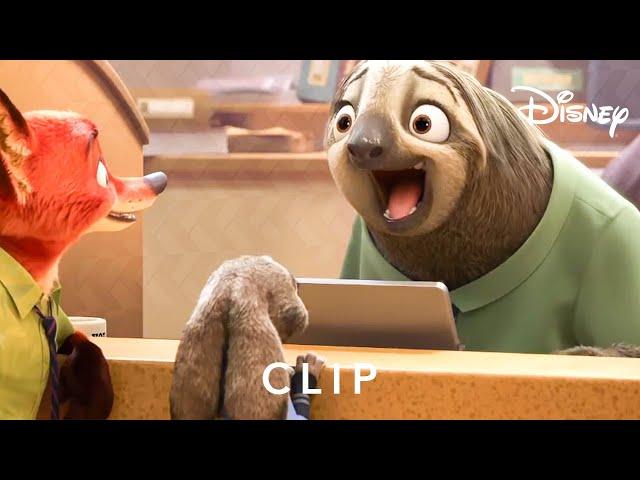 Flash The Sloth | Zootropolis | Disney UK