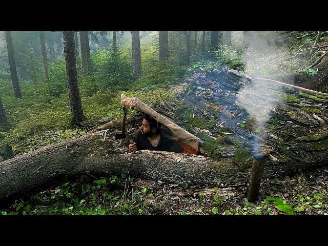 Building a SECRET Survival SHELTER Inside a Fallen TREE. Solo Bushcraft Camping. Outdoor Cooking