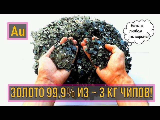 ЗОЛОТО 99,9% ИЗ ~ 3 КГ ЧИПОВ! САМЫЙ БОЛЬШОЙ ВЫХЛОП ЗА ВСЮ ИСТОРИЮ КАНАЛА!