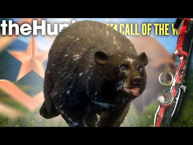 The REDEMPTION! Great One BLACK BEAR is HERE!! With the bow. | The hunter call of the wild.