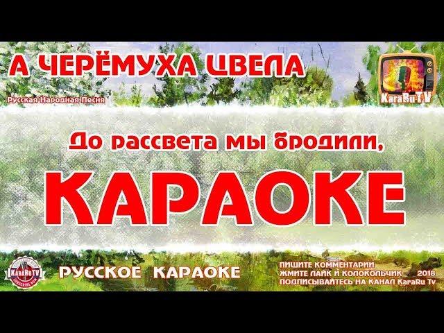 Karaoke - "A bird cherry blossomed" | Russian folk song