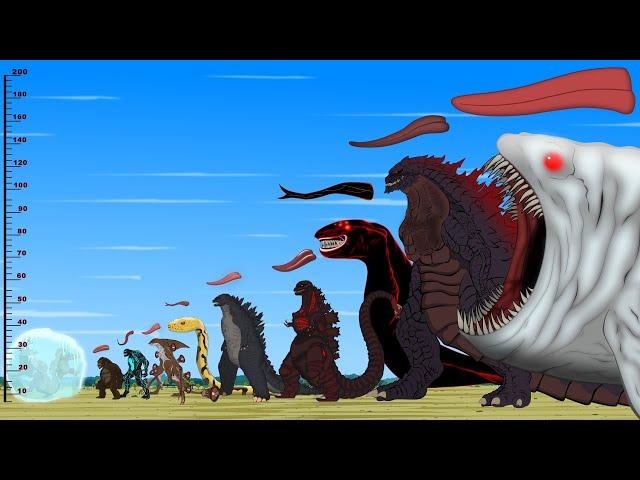 Godzilla & KONG, PYTHON, BLOOP Jaw Size Comparison and The Power of The Tongue | Godzilla Cartoon