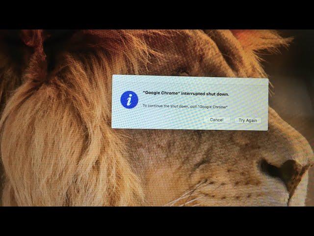 Google Chrome interrupted Shutdown MacBook Air