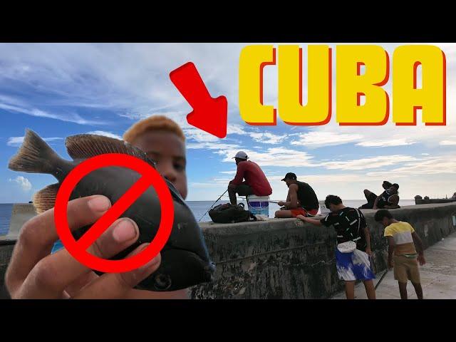 WHY IS THERE NO FISH IN CUBA?