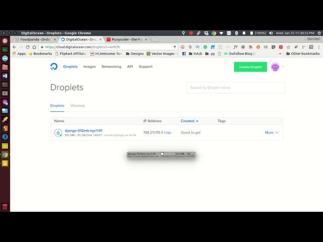 Setup DNS from godaddy with Digital Ocean Host- IDN Domain Setup