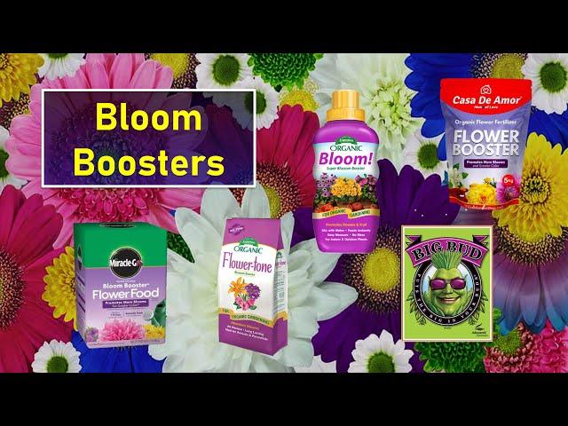 Bloom Boosters - Do They Work?