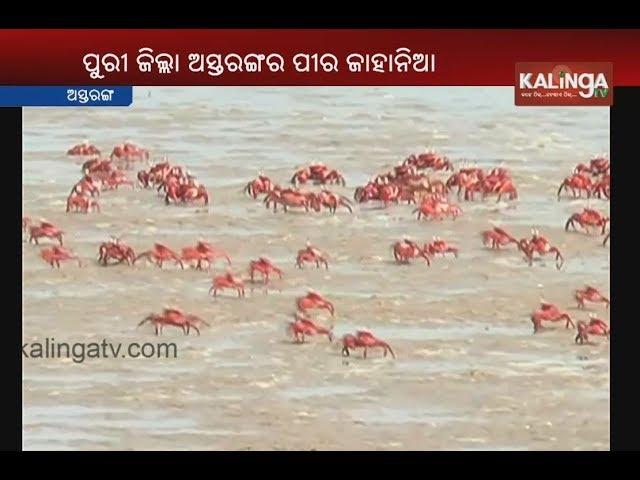 Unique tourist place Pir Jahania beach in Puri district of Odisha: Special report