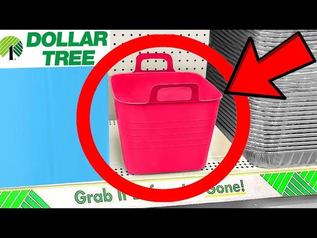 10 Things You SHOULD Be Buying at Dollar Tree in January 2025