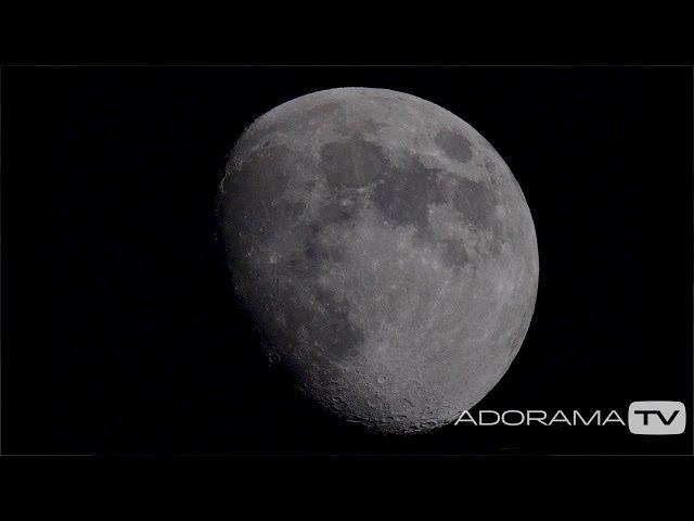 Shoot for the Moon: Two Minute Tips with David Bergman