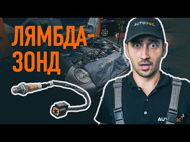 Как заменить лямбда-зонд | СОВЕТЫ AUTODOC