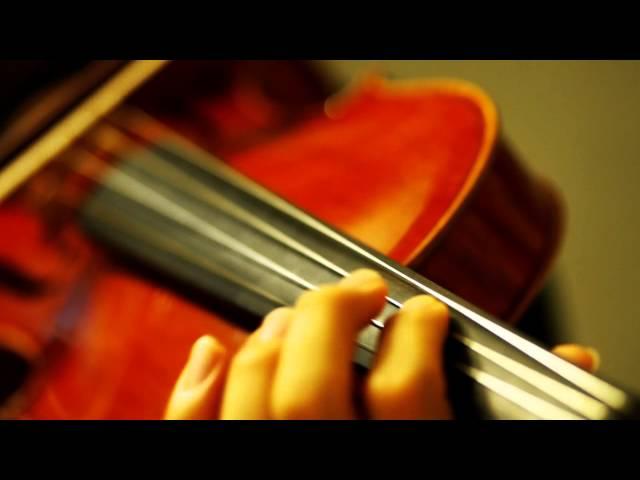 "My Heart Will Go On" - Celine Dion (Violin Cover)