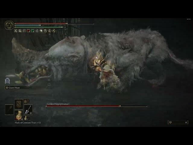 Elden Ring Shadof of the Erdtree - Golden Hippo boss (Strength build, Greatsword)