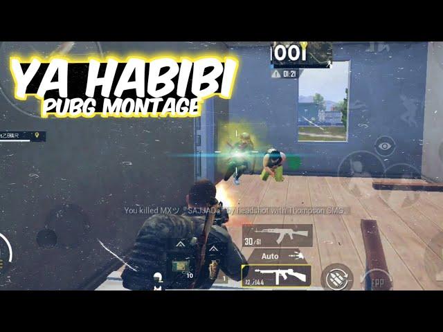 Ya Habibi pubg mobile | amjad baltistani | montage noman op