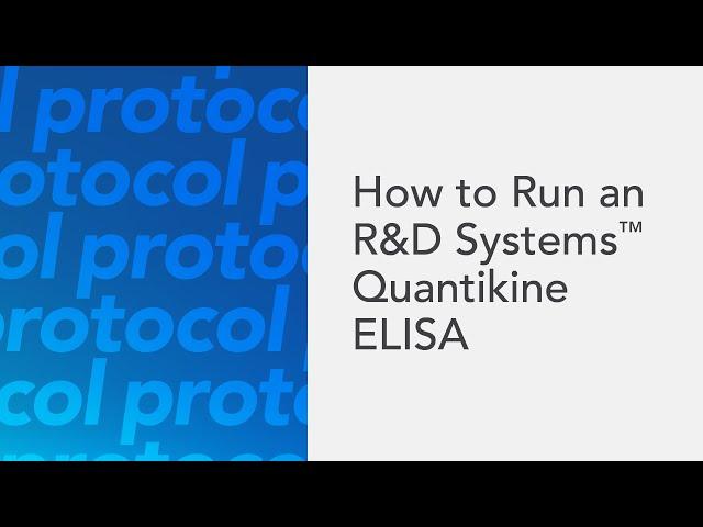 How to Run an R&D Systems Quantikine ELISA - an ELISA protocol video