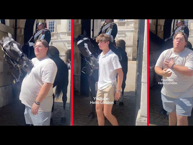 WATCH What Happens When Tourists Get Too Close to King Ormonde  - Bites Caught on Camera